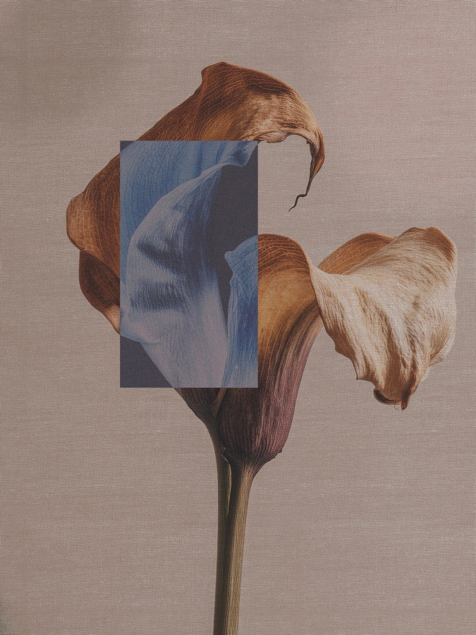 Sacred Texture — Withered Flower - Limited Edition