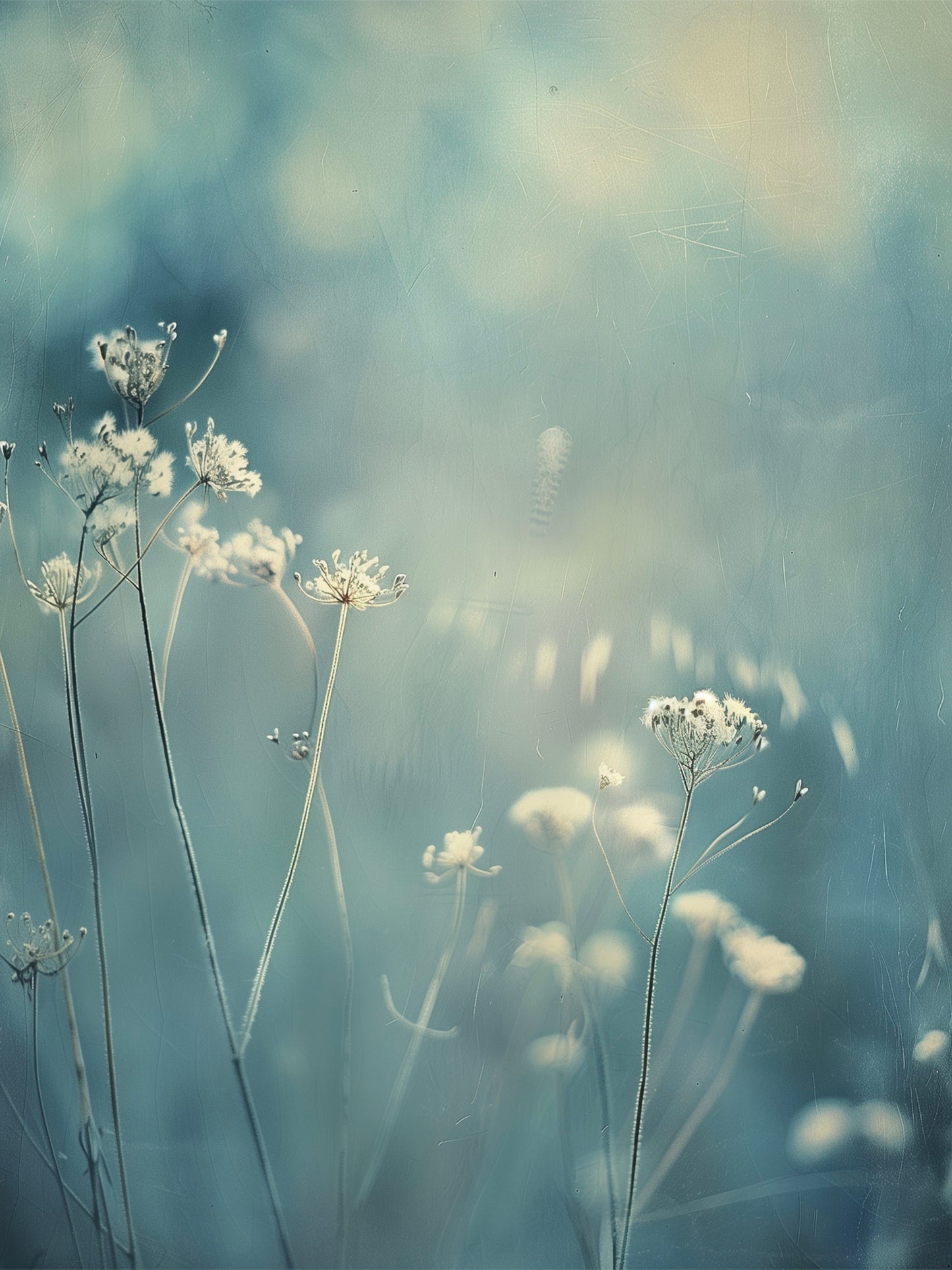 The Suspended Moment – Limited Edition of 25