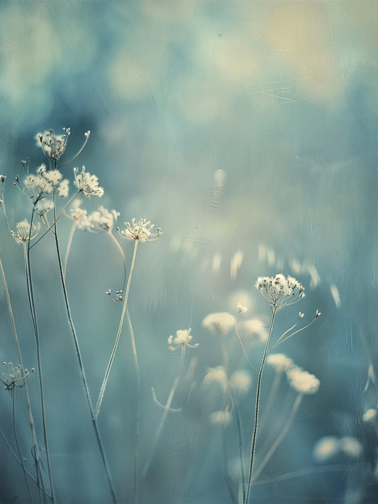 The Suspended Moment – Limited Edition of 25