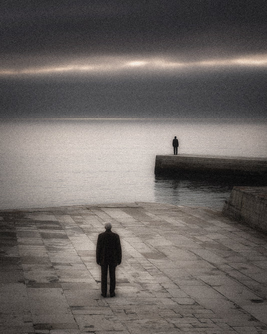 Parallel Silences - Limited edition