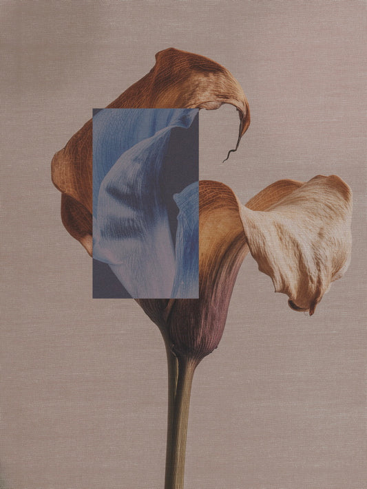 Sacred Texture — Withered Flower - Limited Edition